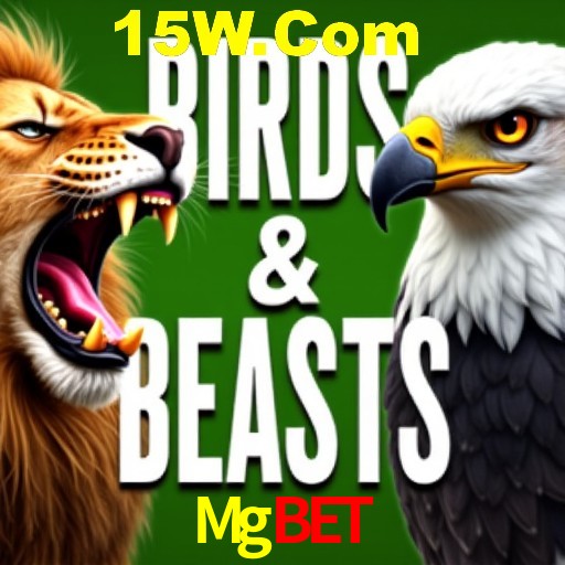 Estatísticas Esportivas Mgbet